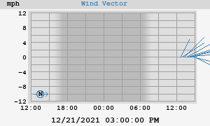 Wind Vector
